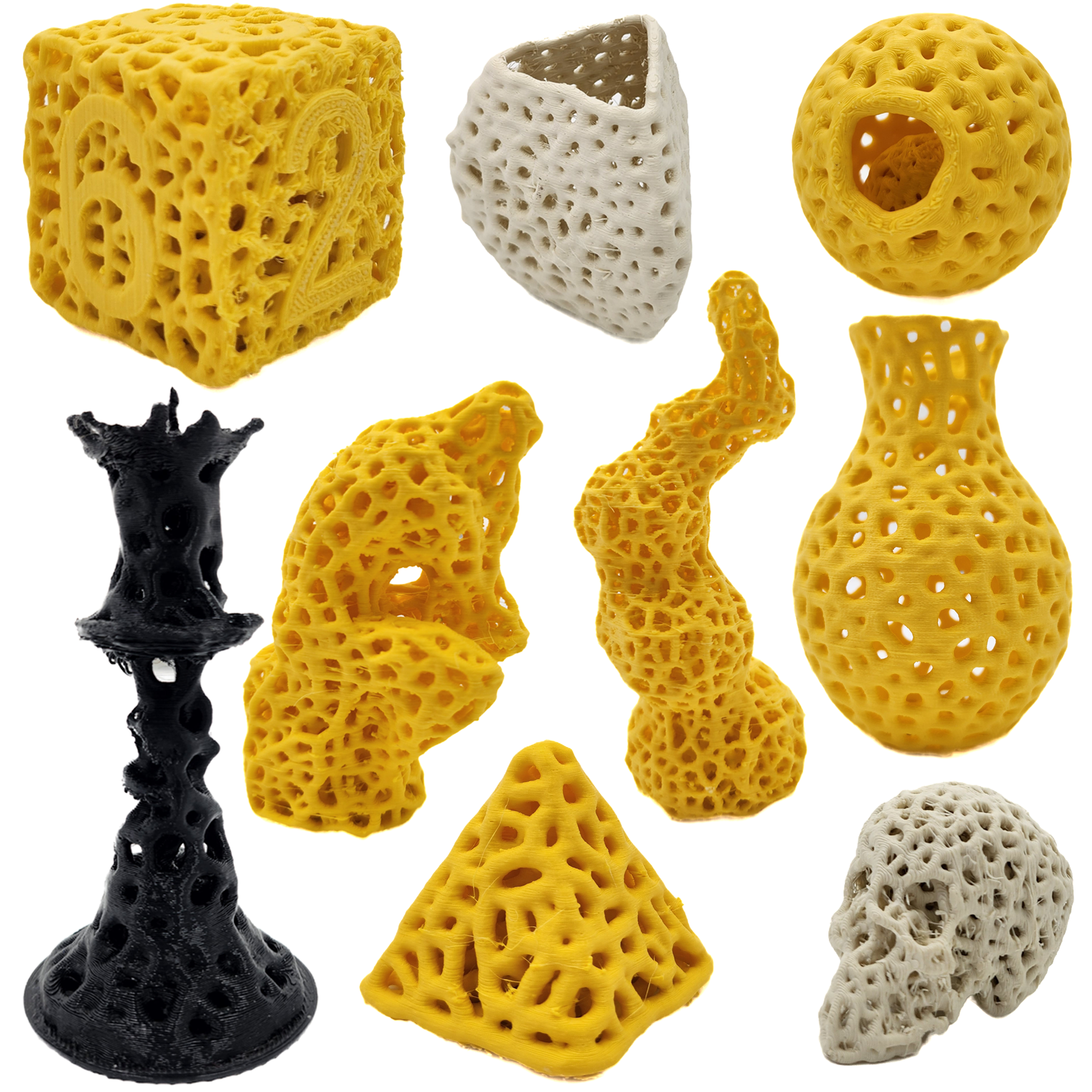 Gallery of 3D models created with PolyPhy